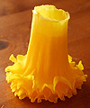 Temporary Art: Bright yellow daffodil trumpets carefully stacked to create frills and photographed on a honey pine table